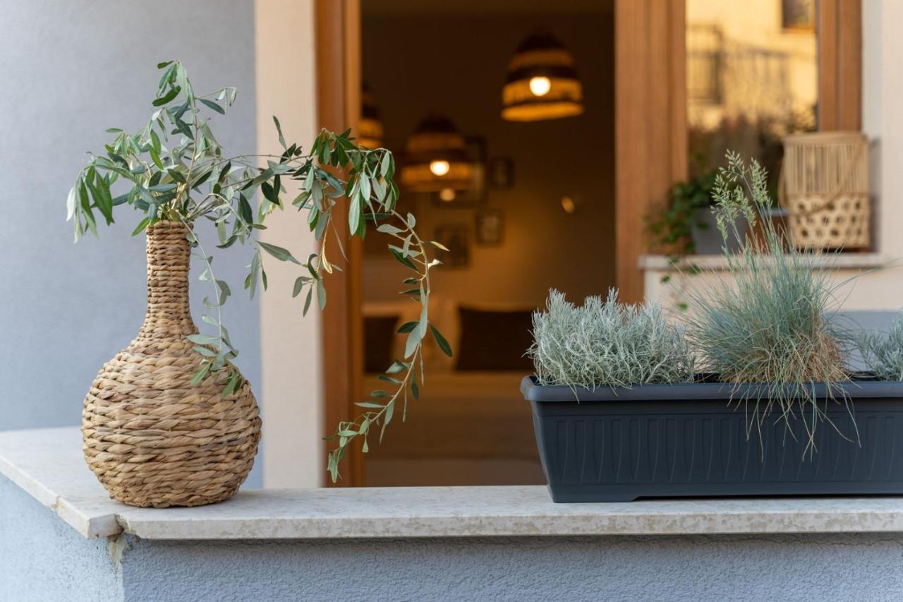 Apartments Alloro By Seeadria Agency Novigrad Istria 外观 照片